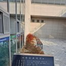 거성 건축사사무소 이미지