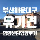 경주시 동물사랑보호센터 동물병원 | [부산 유기견 입양] 해운대구 유기동물 입양센터에서 만난 선물, ‘송이’가 ‘보리’가 되기까지