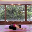 스트레칭 요가 이미지