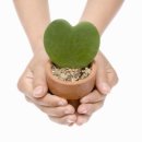 플로라여성의원 이미지