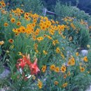 말래펜션 이미지