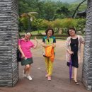 쉬자파크 이미지