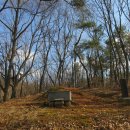 충의공 이유길 의마총 이미지