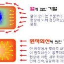 원적외선체온관리점핑다이어트