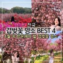 칠봉목장 네이버블로그