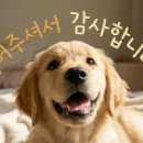 이목산전 이미지