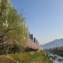 신안아파트후문 이미지