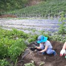 해밀계곡농장 이미지