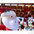 임실백제약국 이미지