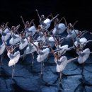 서울시티발레단 백조의 호수 이미지