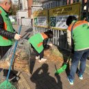 서안산정비 이미지