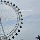 가평군 설악도서관 | [ 부산 2주 여행 ➡️속초 1박 여행 ][ 속초 맛집, 호텔,벚꽃 스팟 ]