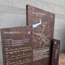 효자 임명즙 정려 | 아산 현충사 벚꽃 실시간! 🌸 입장료 무료에 인생샷 성지? 데이트·가족여행 당일치기 코스 완벽 정리