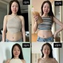 미자식품 | “5일 만에 뱃살 실종?”… 미자, 3.6kg 빠진 핵심은 ‘이것’이었습니다