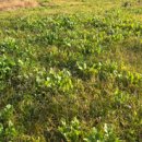 미르목장 이미지