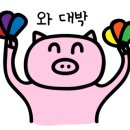 셀라왁싱 이미지