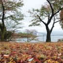 행복의아침 이미지