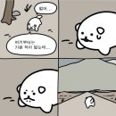 가고파세탁 이미지