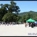 궁근정초 이미지