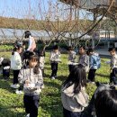 바다 유치원 이미지