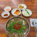 이마트24 부산괴정점 | [부산] 부산역 돼지국밥 맛집 3곳 비교 내돈내산(괴정집, 대건명가,더도이종가)