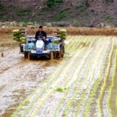 김종욱농장 이미지