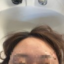 숲머리 | 서울숲 미용실 데생헤어 성수 플래그십 앞머리 부분펌 후기
