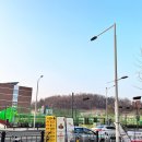 24시쎈텀동물병원 이미지
