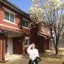 목련 어린이공원 이미지