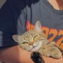 백호커피