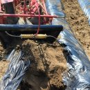 월현농장 이미지