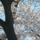 가르멜수도원 이미지