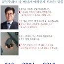 청룡동-35 이미지