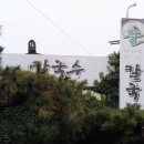 솔칼국수 이미지