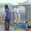 미국아재