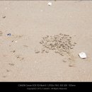 장삼포해수욕장 이미지