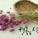 행복한선물 이미지