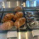 모던모소 이미지