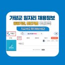 스피드직업소개소 - 창원시 성산구 | 가평군 공무직 채용 공고, 가평군 일자리센터, 가평군 워크넷 채용 정보