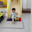 선재유일390 이미지