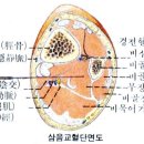 광명의료기 이미지