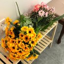 군산셀프사진관스튜디오퐁당
