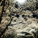 옵티션찰리대현점 이미지