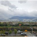 고스고스2 이미지