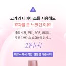 에스텔라 이미지