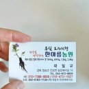 청송한아름농원 흑도라지청