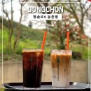청솔로9 동촌점 | [금호강 동촌 벚꽃 카페 청솔로9 동촌점] 봄길 걷다, 잠시 쉬다 온 시원한 시간 (내돈내산)