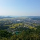 메디팜보령약국 이미지