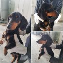 여술2길 이미지