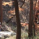 배론성지 관광안내소 이미지